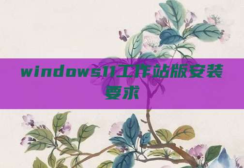 windows11工作站版安装要求