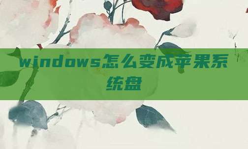 windows怎么变成苹果系统盘