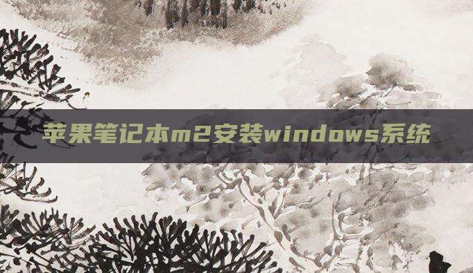 苹果笔记本m2安装windows系统