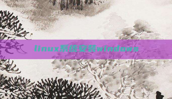 linux系统安装windows