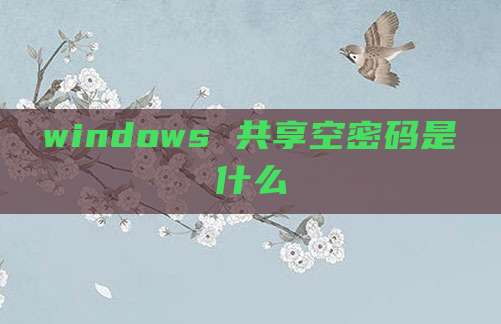 windows 共享空密码是什么