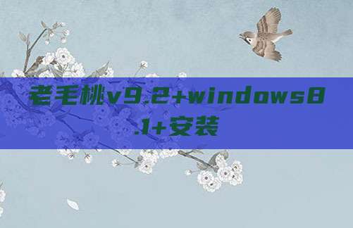 老毛桃v9.2+windows8.1+安装