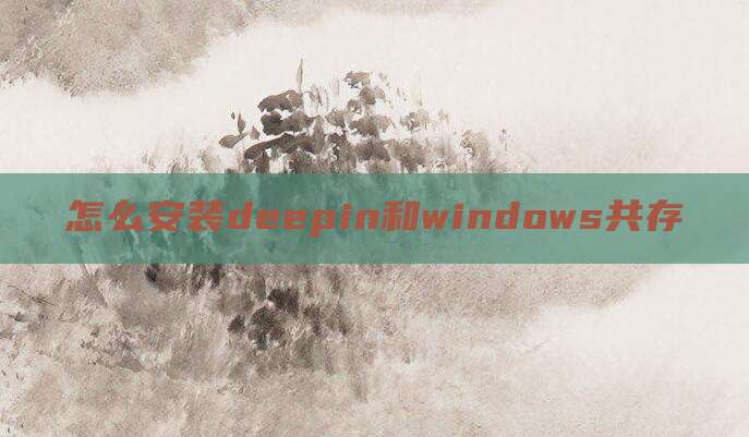 怎么安装deepin和windows共存
