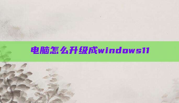 电脑怎么升级成windows11
