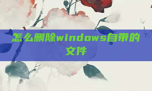 怎么删除windows自带的文件