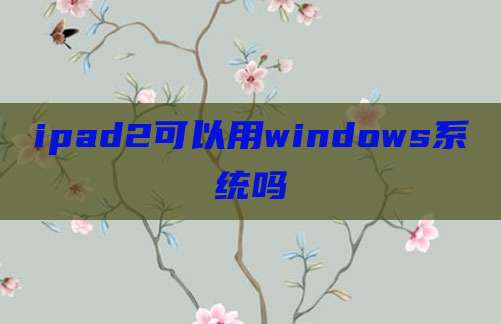 ipad2可以用windows系统吗