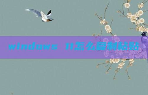 windows 11怎么复制粘贴