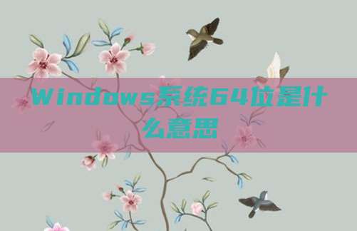 Windows系统64位是什么意思