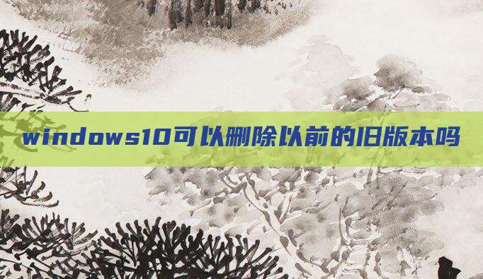 windows10可以删除以前的旧版本吗