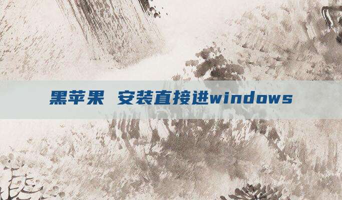 黑苹果 安装直接进windows