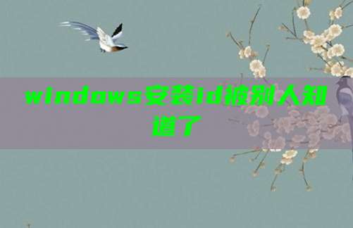 windows安装id被别人知道了