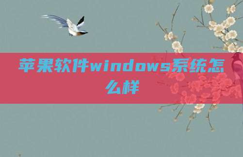 苹果软件windows系统怎么样