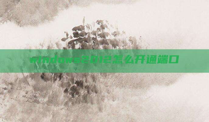 windows2012怎么开通端口