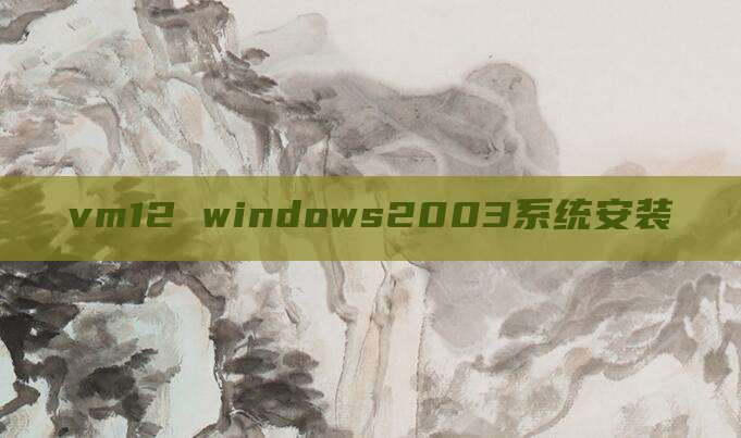 vm12 windows2003系统安装