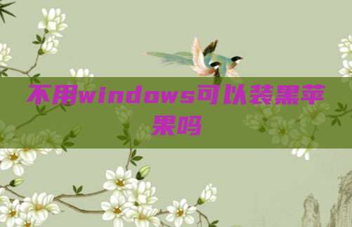 不用windows可以装黑苹果吗