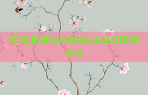 怎么看是windows32还是64