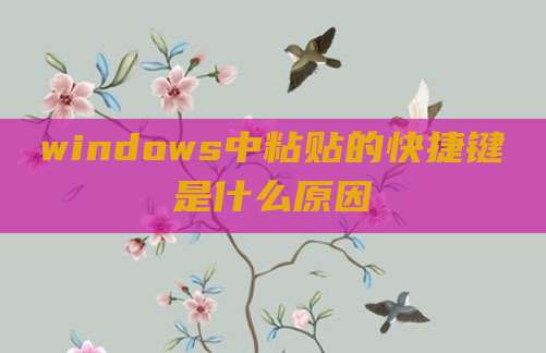 windows中粘贴的快捷键是什么原因