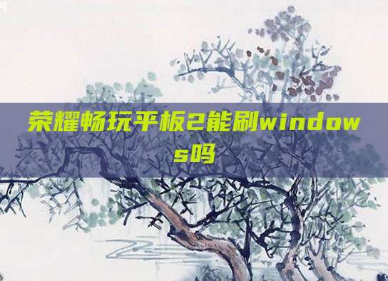 荣耀畅玩平板2能刷windows吗