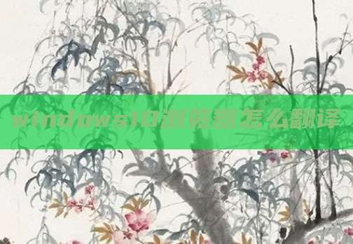 windows10浏览器怎么翻译