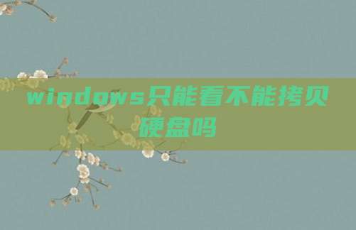 windows只能看不能拷贝硬盘吗