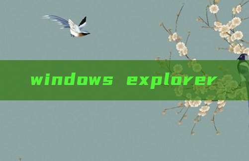 windows explorer