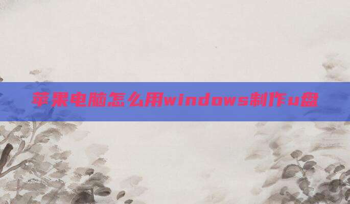 苹果电脑怎么用windows制作u盘