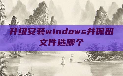 升级安装windows并保留文件选哪个