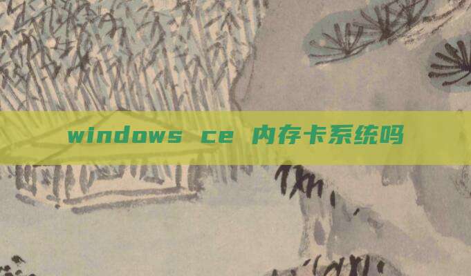 windows ce 内存卡系统吗