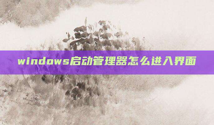 windows启动管理器怎么进入界面