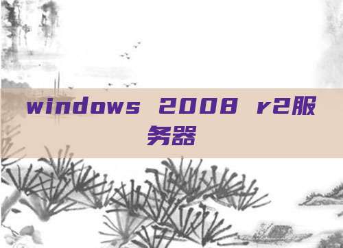 windows 2008 r2服务器