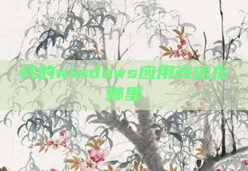 我的windows应用商店在哪里