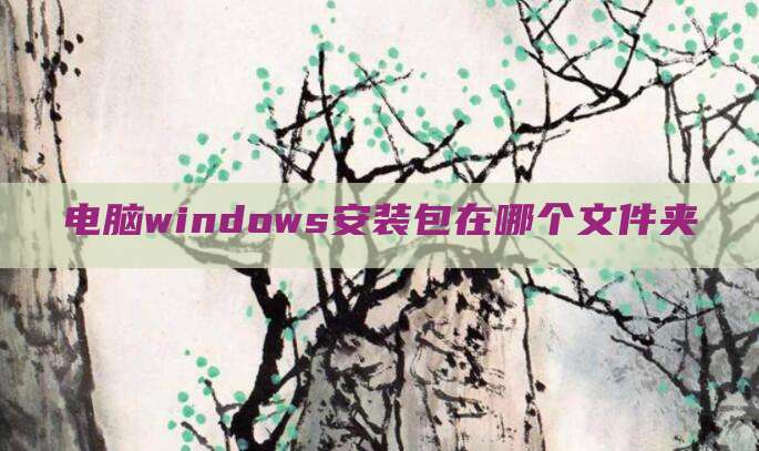 电脑windows安装包在哪个文件夹