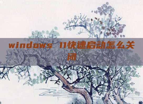 windows 11快速启动怎么关闭