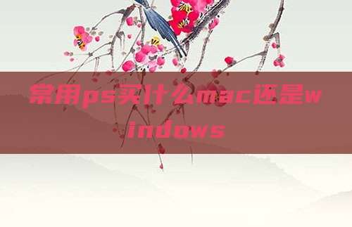 常用ps买什么mac还是windows