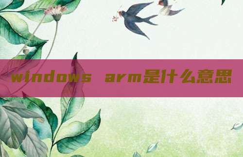 windows arm是什么意思