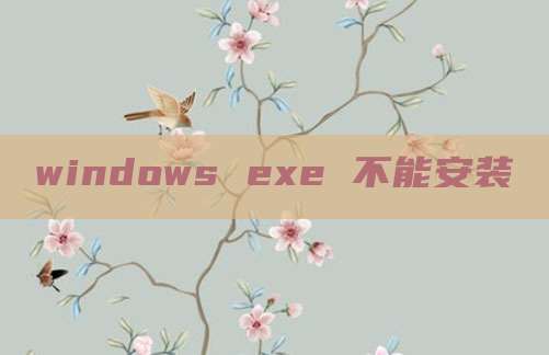 windows exe 不能安装