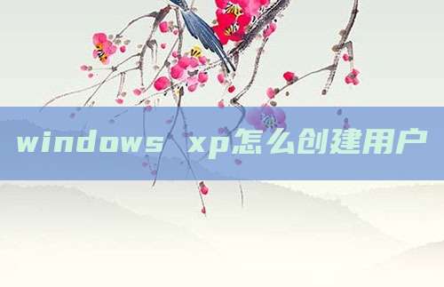 windows xp怎么创建用户