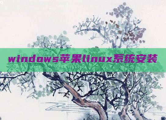 windows苹果linux系统安装