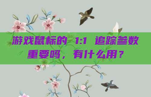 游戏鼠标的 1:1 追踪参数重要吗，有什么用？