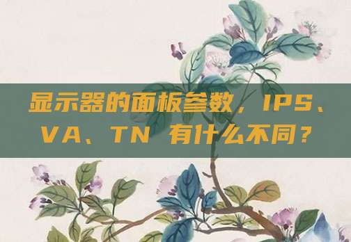 显示器的面板参数，IPS、VA、TN 有什么不同？