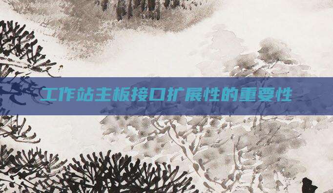 工作站主板接口扩展性的重要性