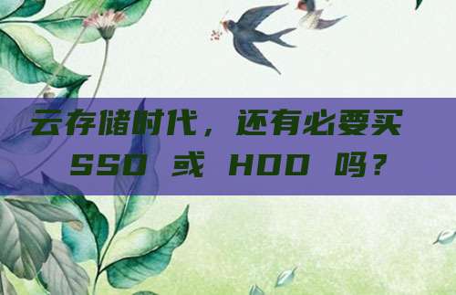 云存储时代，还有必要买 SSD 或 HDD 吗？