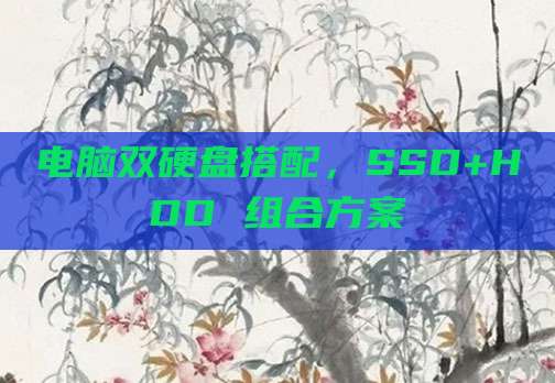 电脑双硬盘搭配，SSD+HDD 组合方案