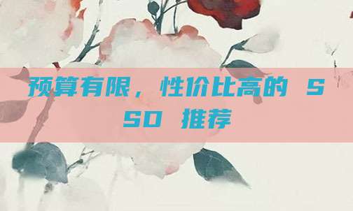 预算有限，性价比高的 SSD 推荐