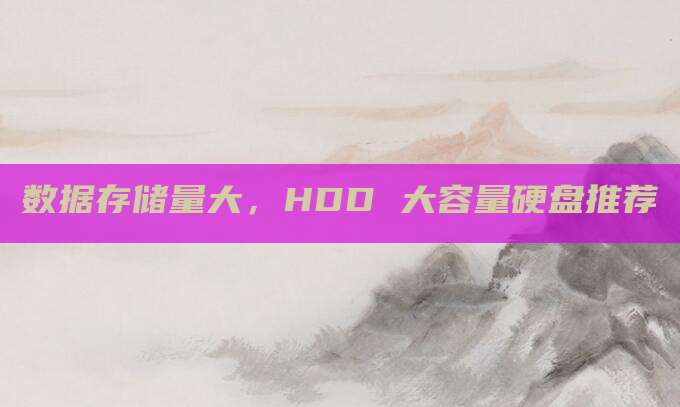 数据存储量大，HDD 大容量硬盘推荐