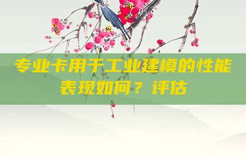 专业卡用于工业建模的性能表现如何？评估