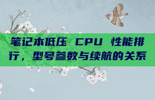 笔记本低压 CPU 性能排行，型号参数与续航的关系