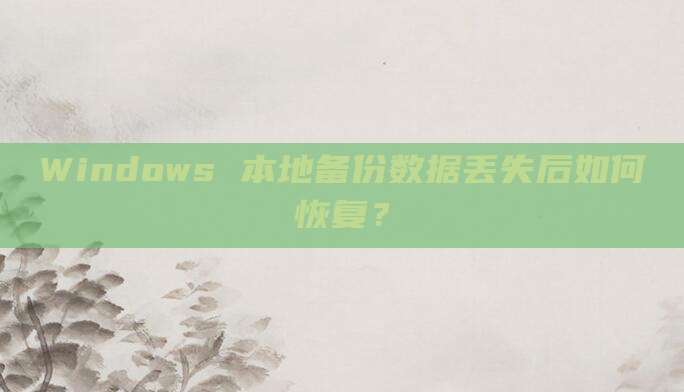 Windows 本地备份数据丢失后如何恢复？
