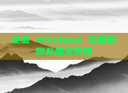 企业 Windows 设备的隐私加密策略