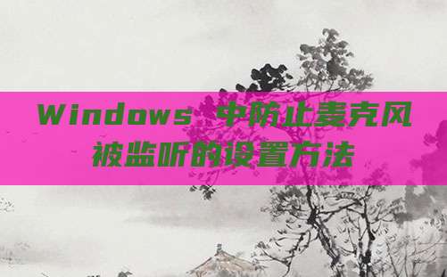Windows 中防止麦克风被监听的设置方法